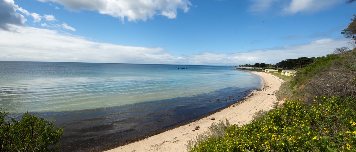 The idyllic Indented Head foreshore
