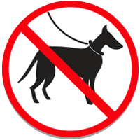 No dogs allowed