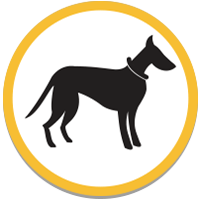 Off leash - except during organised sports and events