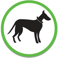 Off leash - supervised area
