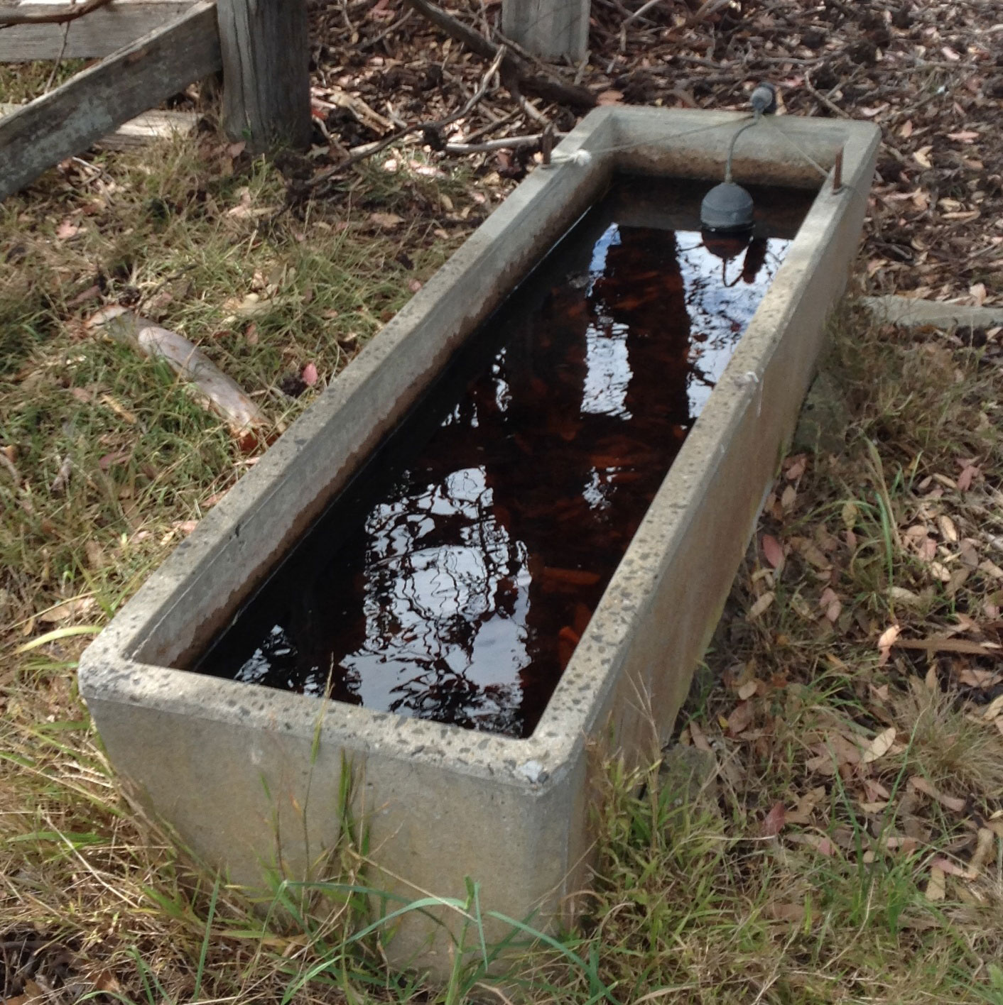 Horse trough