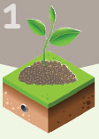 image for greening the city