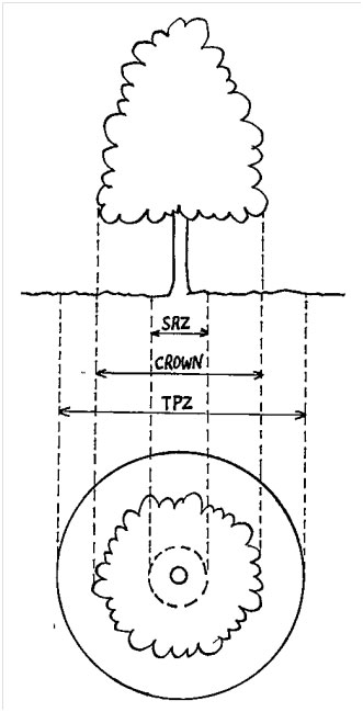 Figure 1: Indicative Tree Protection Zones