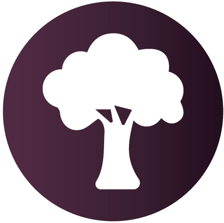 Sustainable products image