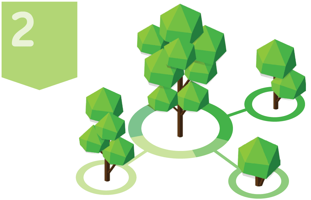 Provide the framework for building future relationships with private landholders to encourage growth of the private realm urban forest.