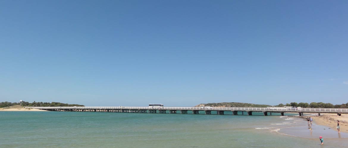 Frank Ellis Reserve