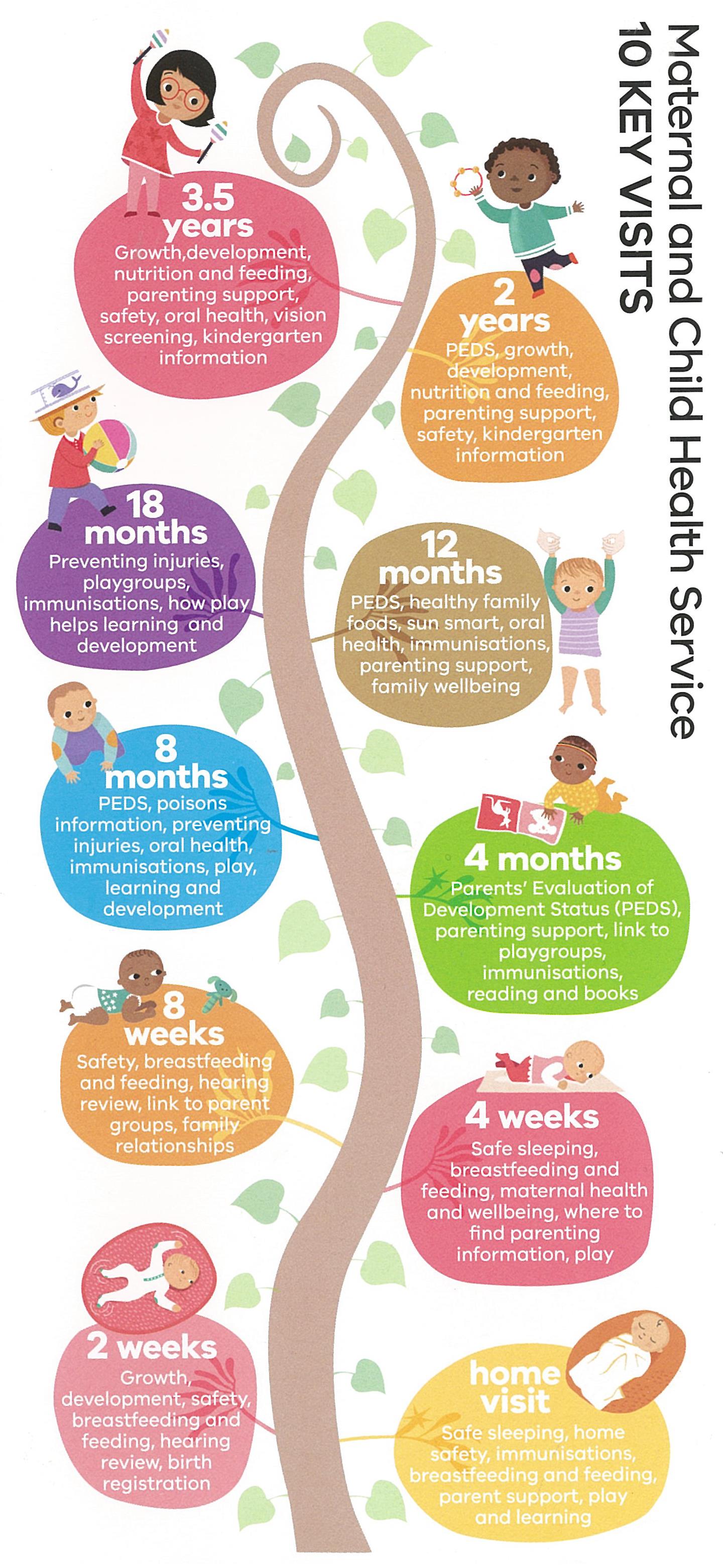 10 Key Stages Diagram - Maternal and Child Health