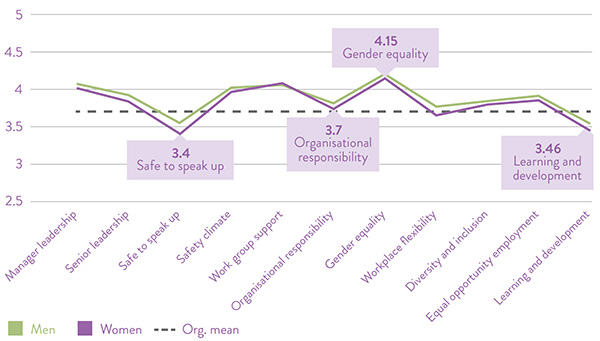 City wide combined Gender+ Survey findings according to themes