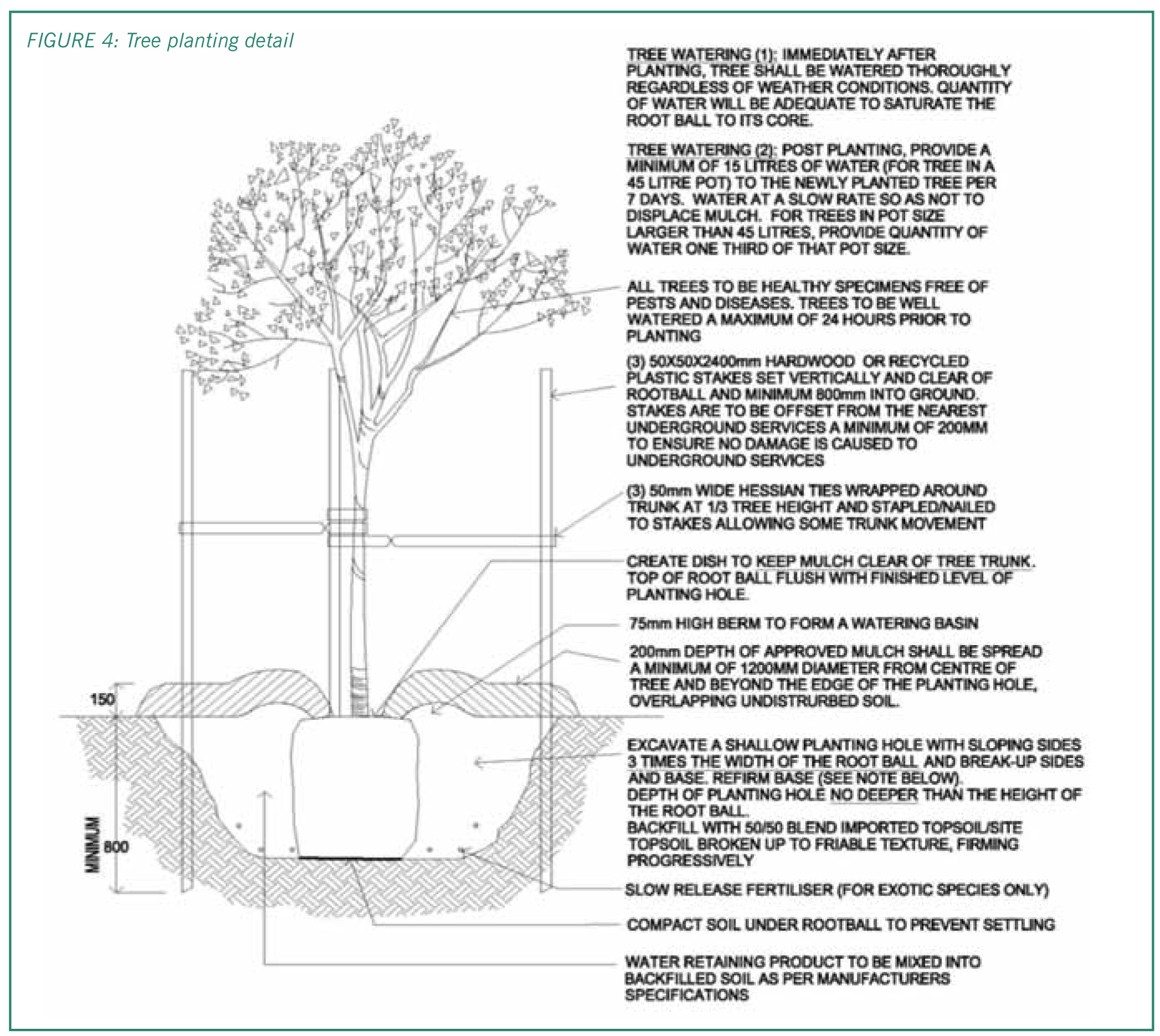 Figure 2: Shrub and groundcover planting detail with table showing 5 points: 1 - specified shrub; 2 - excavate hole large enough to provide a 75mm-100mm clearance around the rootball. post hile diggers not to be used. backfull with approved topsoil. hole to be no deeper than the height of the rootball; 3 - top of rootball level with soil; 4 - 75mm depth approved mulch. mulch to be feaqthered away from stems; 5 - fertiliser to be mixed with backfilled soil around the rootball.