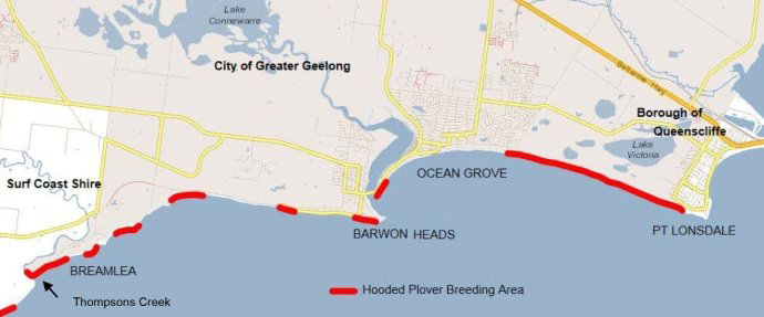 Map A. Hooded plovers breed along the ocean coastline, there are eight main sites within the City of Greater Geelong.