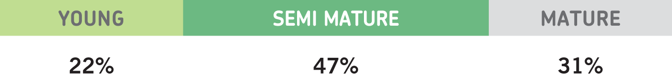 Street tree health as percentages: Good=2%, Fair=47% and Poor=31%