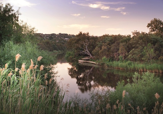 Barwon river