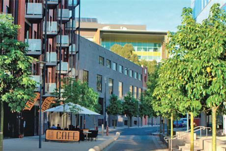 Urban Forest