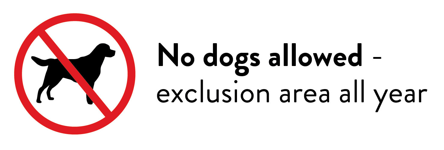 Dogs prohibited sign