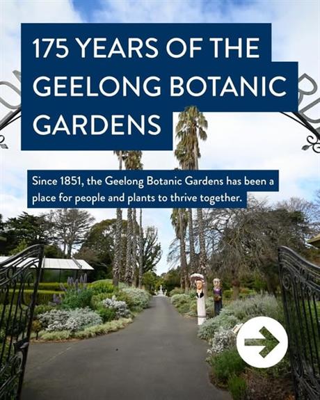 175 Years of the Geelong Botanic Gardens flyer