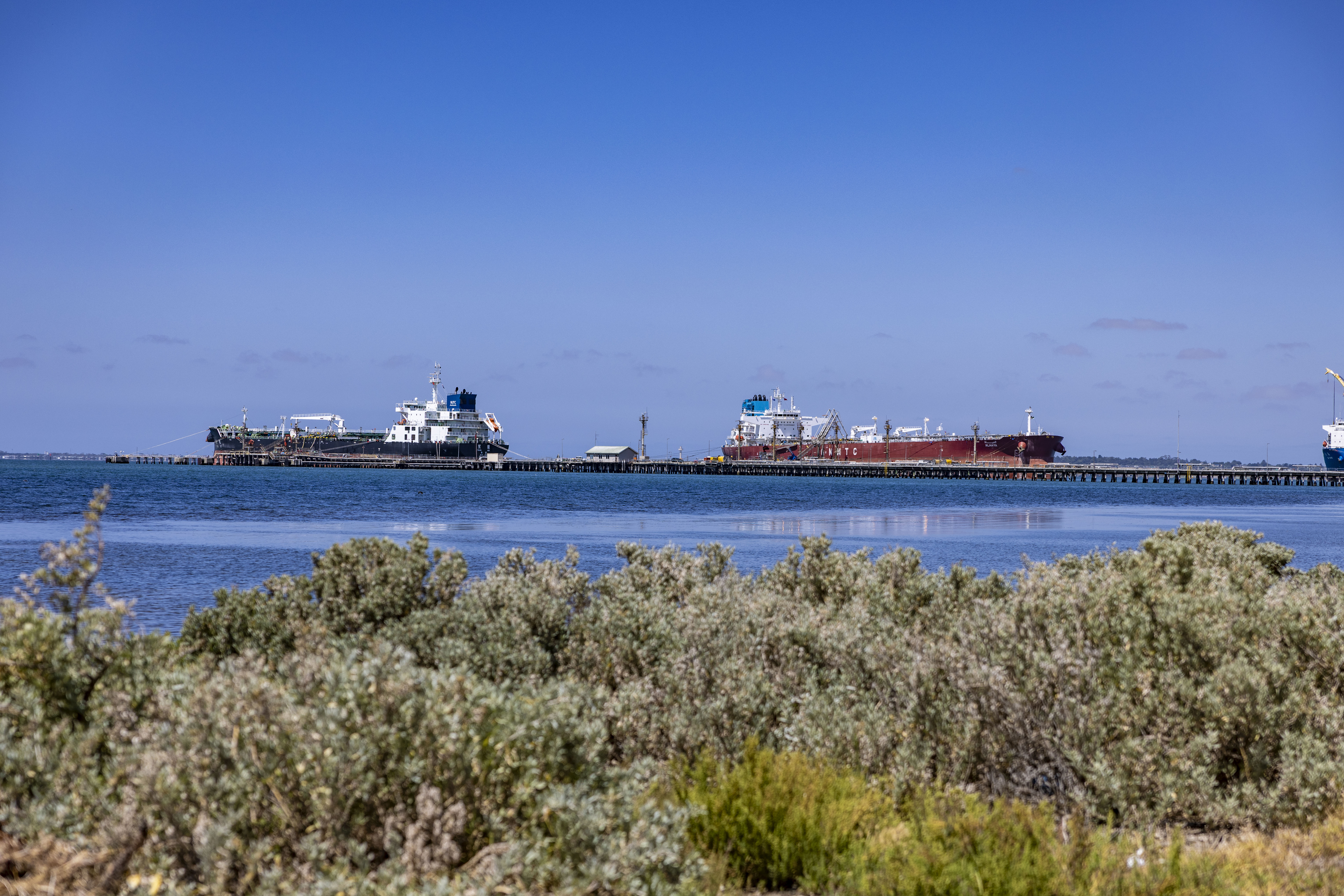 Ships anchored at the Refinery Pier with shrubs in the foreground