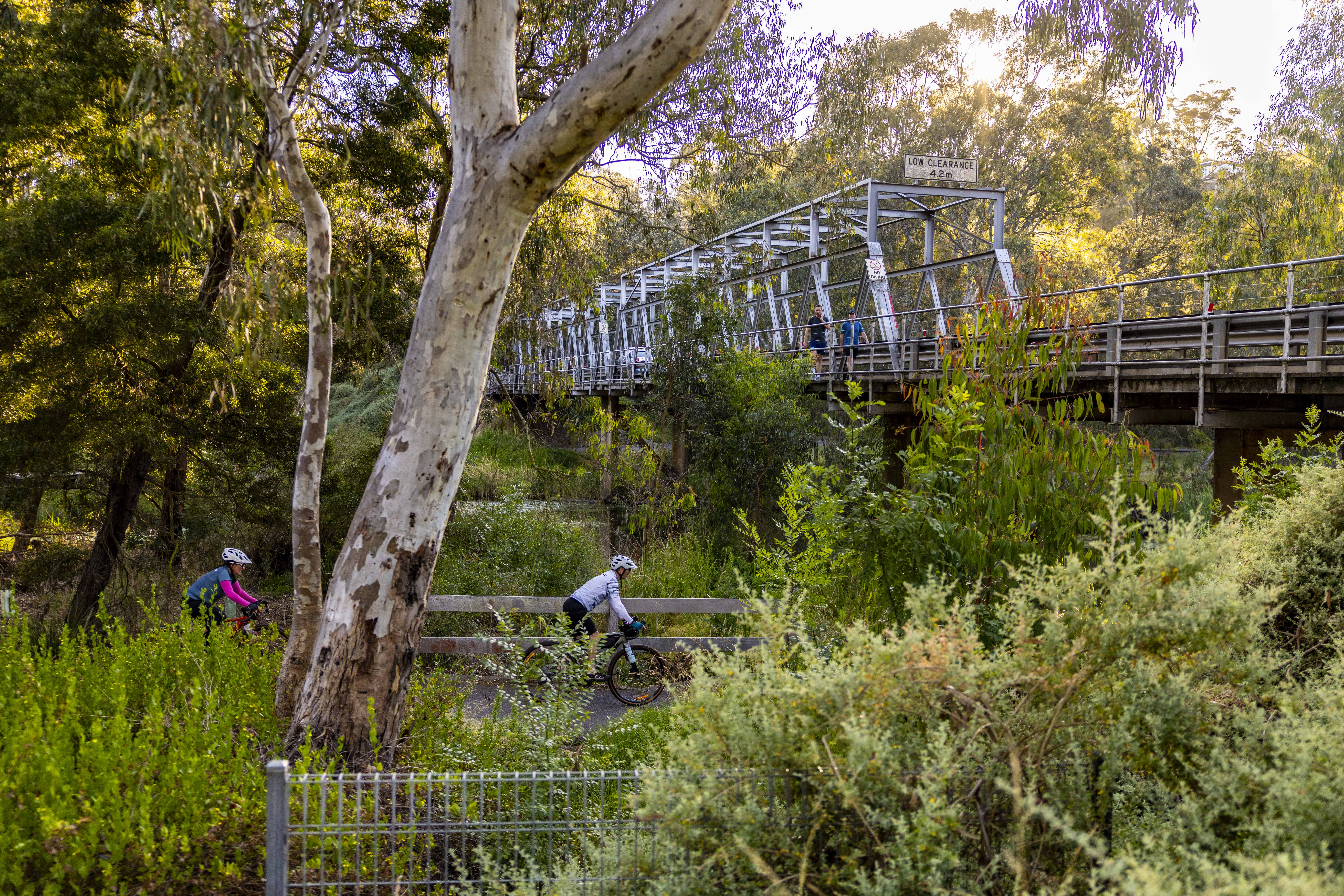 Queens Park Bridge surrounded by bush and trees with a cyclist passing front.