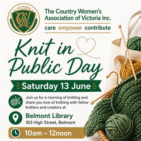 Knit in Public Day - Belmont library