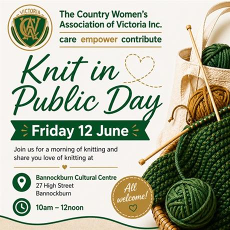 Knit in Public Day flyer with knitting needles and wool