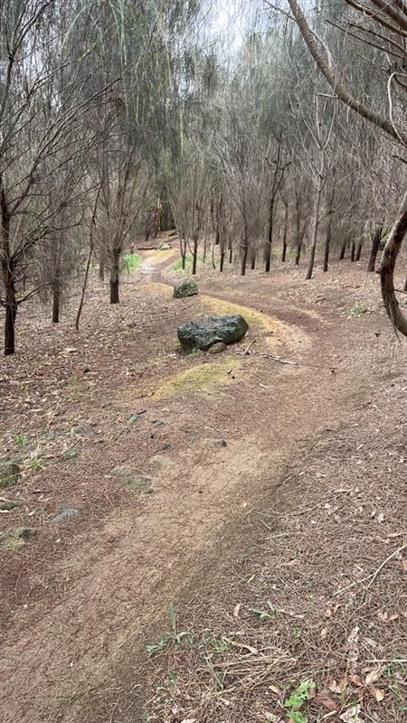 The Hill Mountain Bike Park
