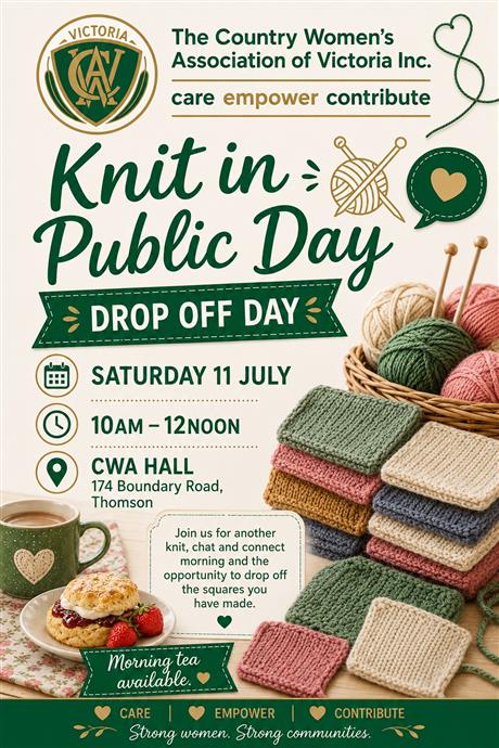 poster of Knit in Public Day