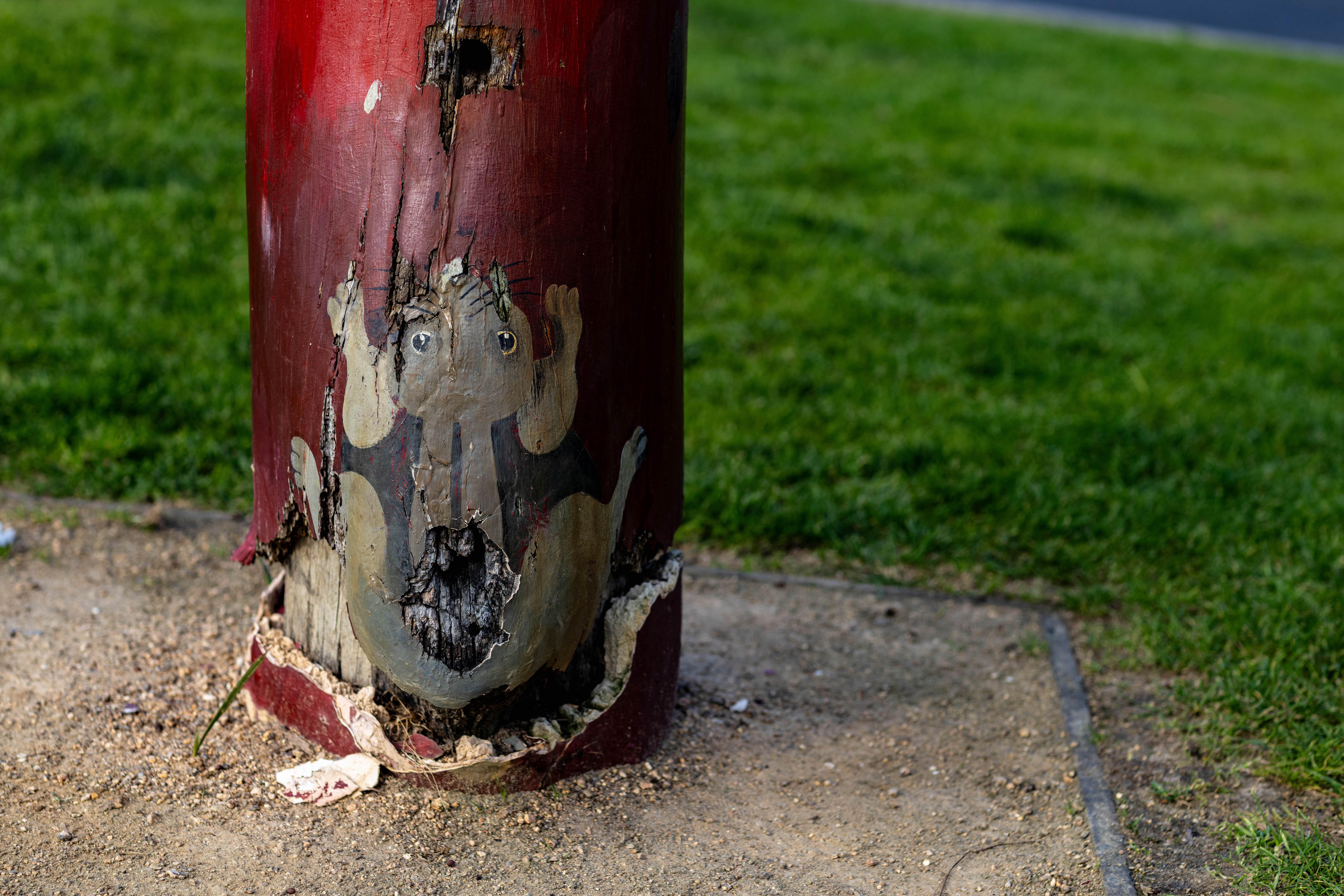 Brown rabbit at the base of a bollard