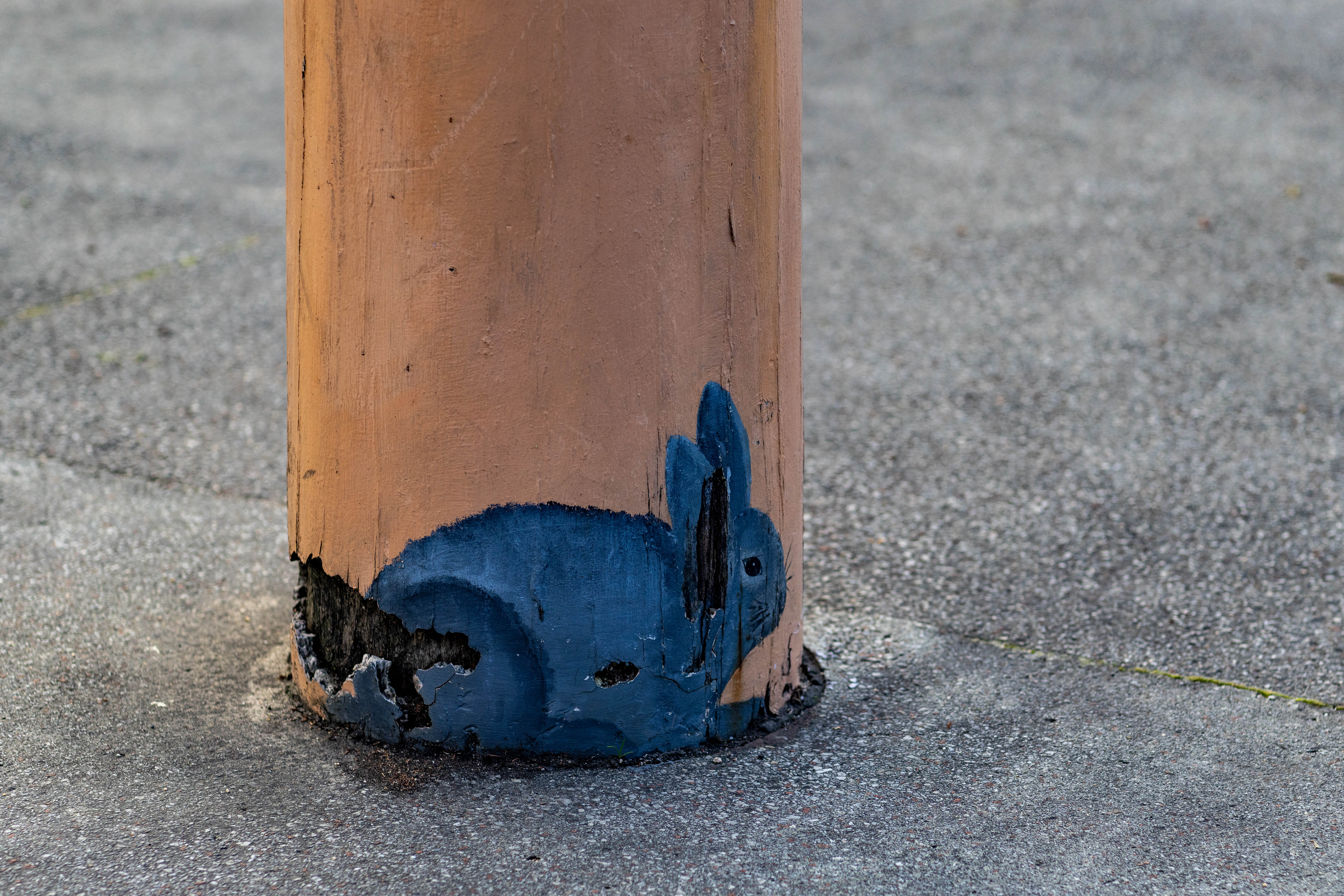 Grey rabbit at the base of a bollard