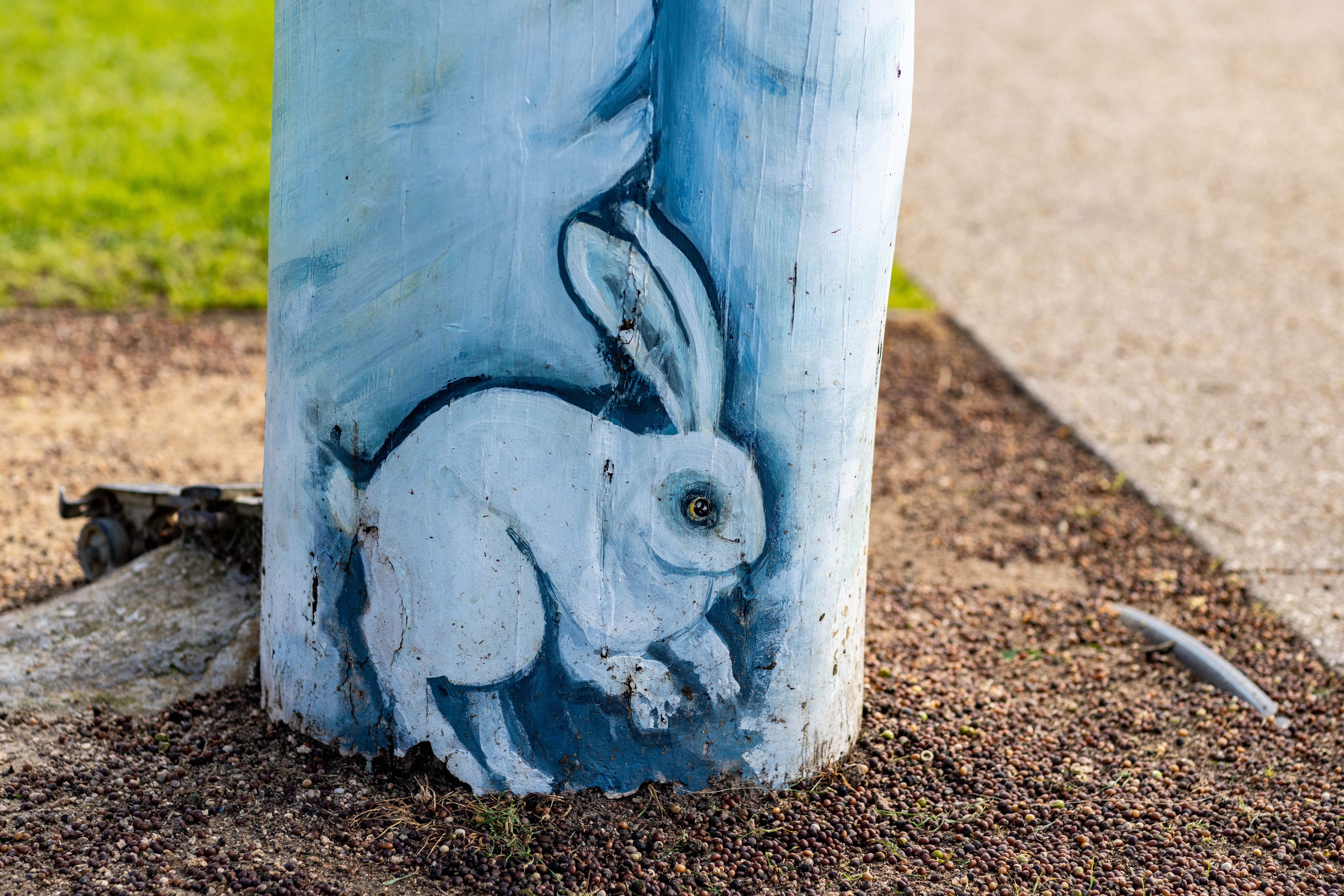 White rabbit at the base of a bollard