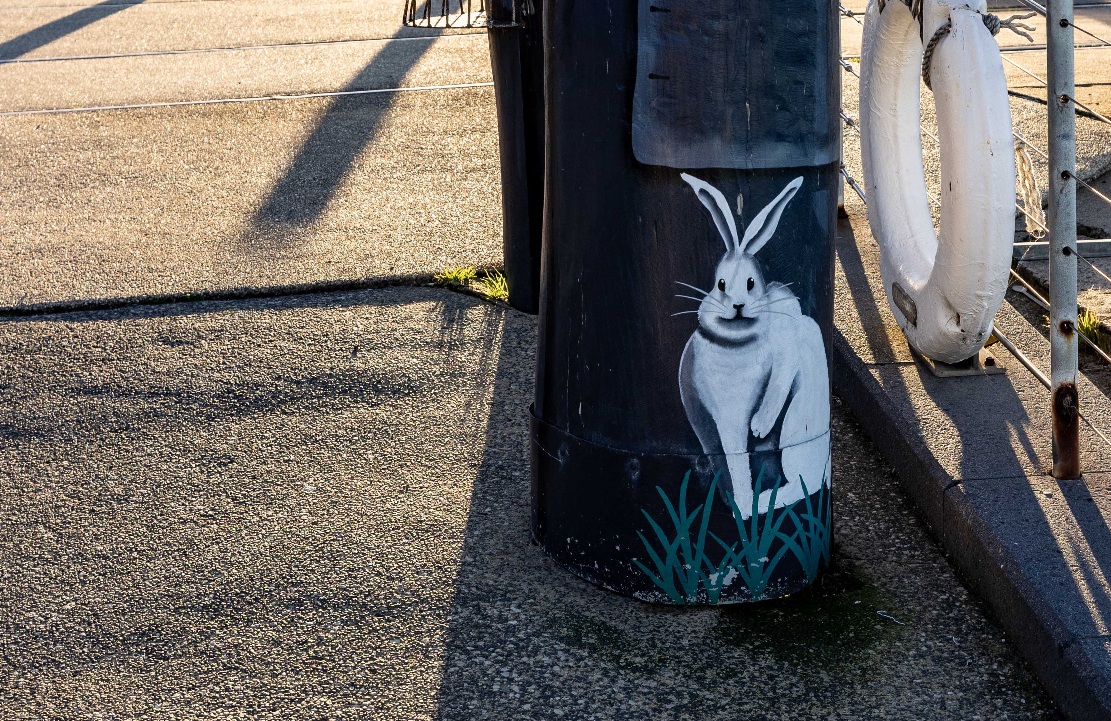 White rabbit at the base of a bollard