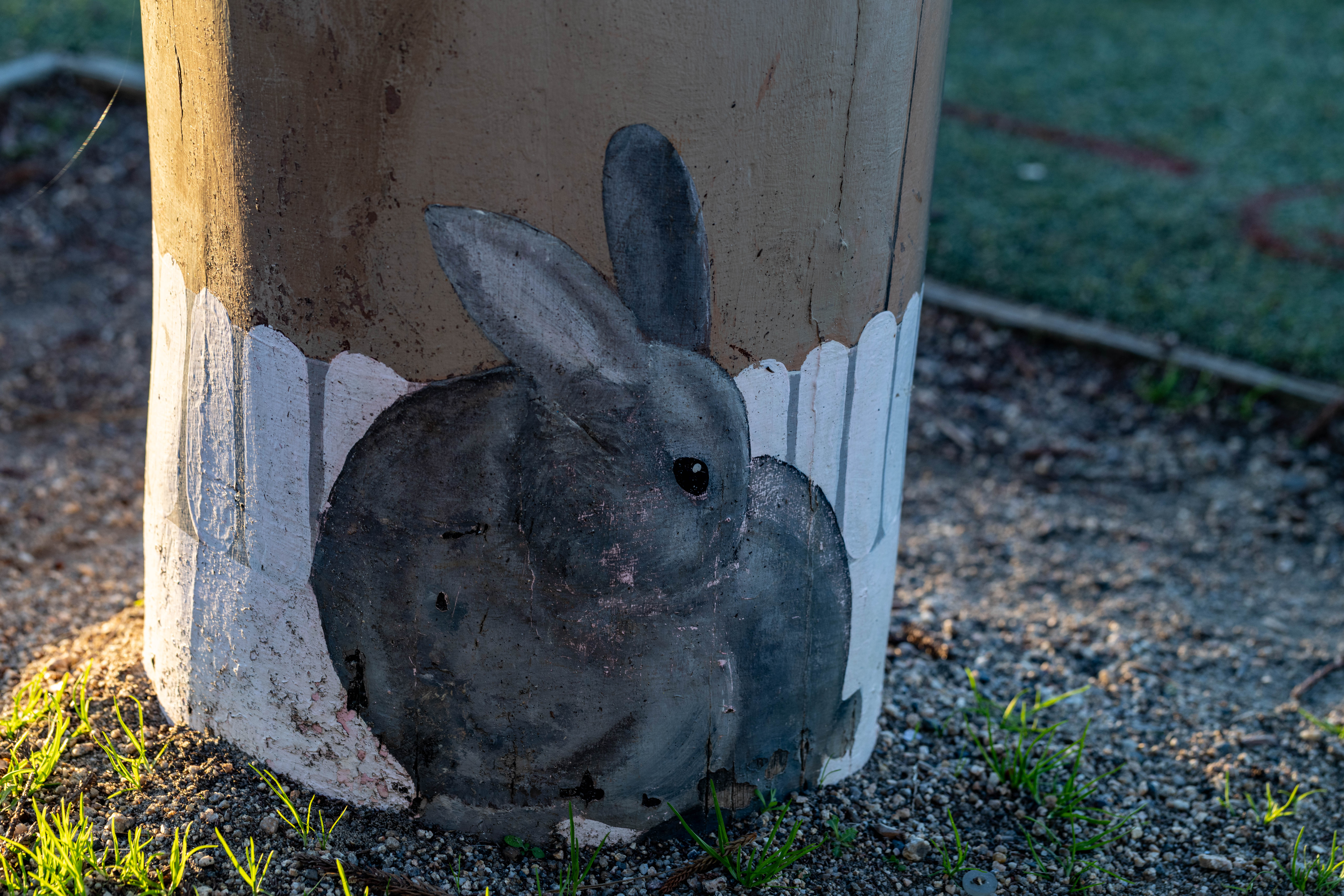 Brown bunny at the base of a bollard