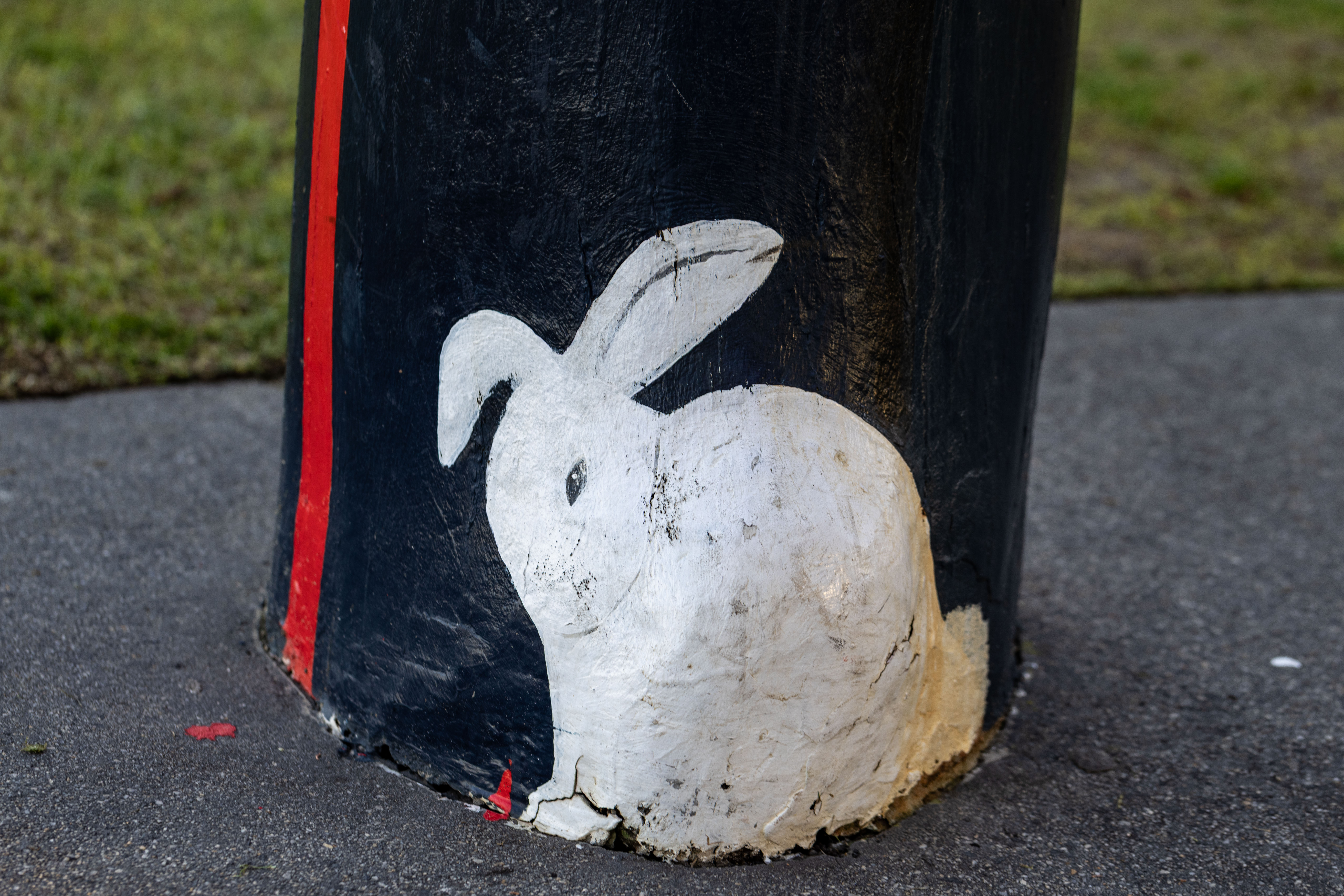 White rabbit at the base of a bollard