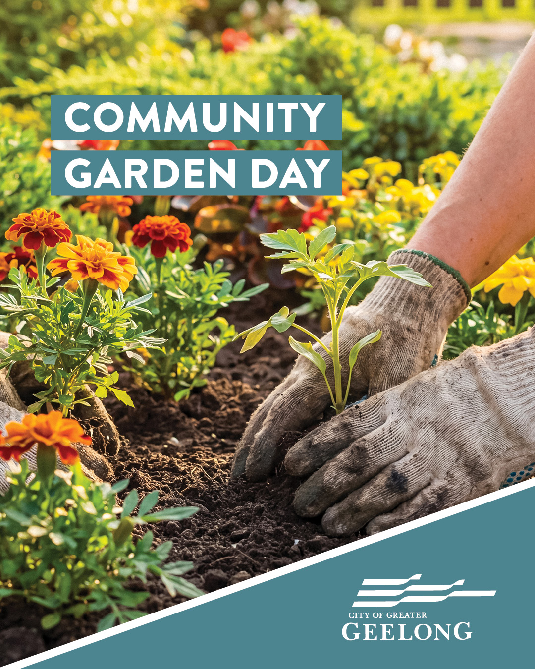 hands planting in soil