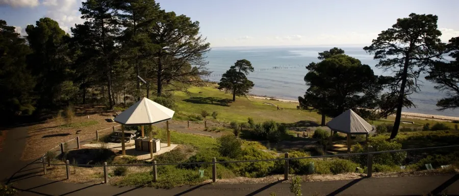 The Dell is a beautiful north facing beachfront reserve