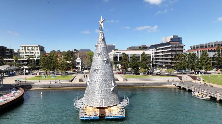 Floating Christmas Tree