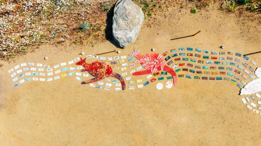 "Our Backyard' arts project
