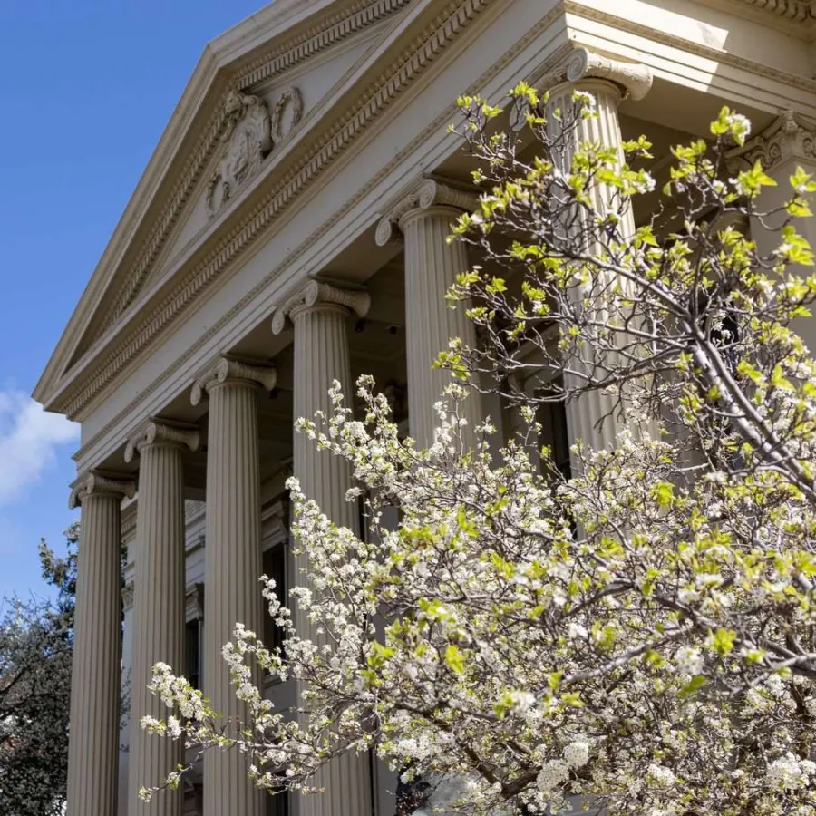 Council endorses budget following community feedback