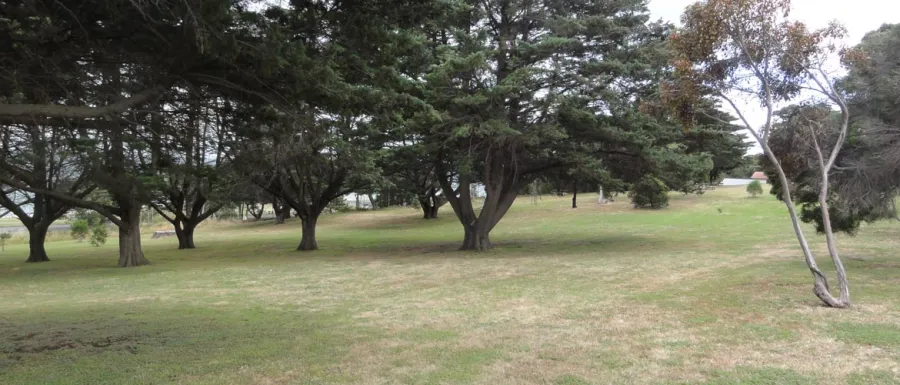 Western Park