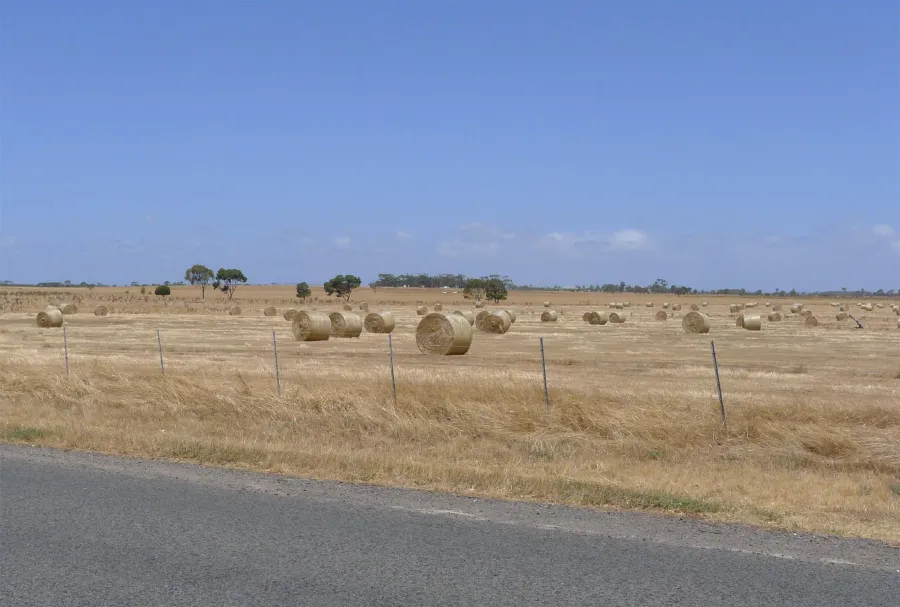 ACS - Open, flat agricultural fields