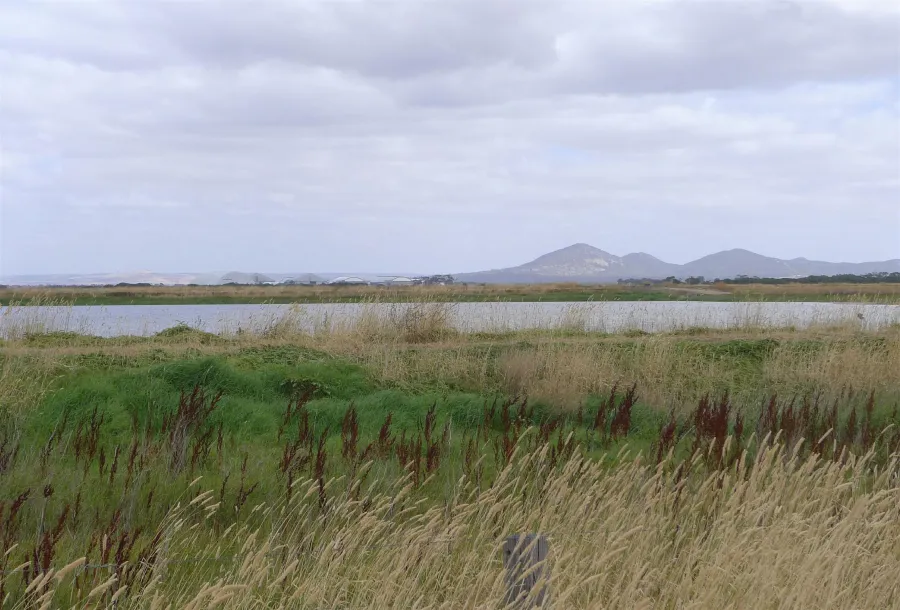ACS - Views towards Avalon Airport from the WTP, with longer range open views to Wurdi Youang