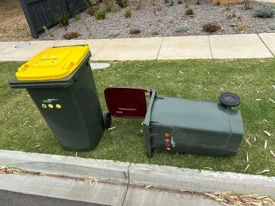 Bin Wind Rethink - Managing your bin in windy weather