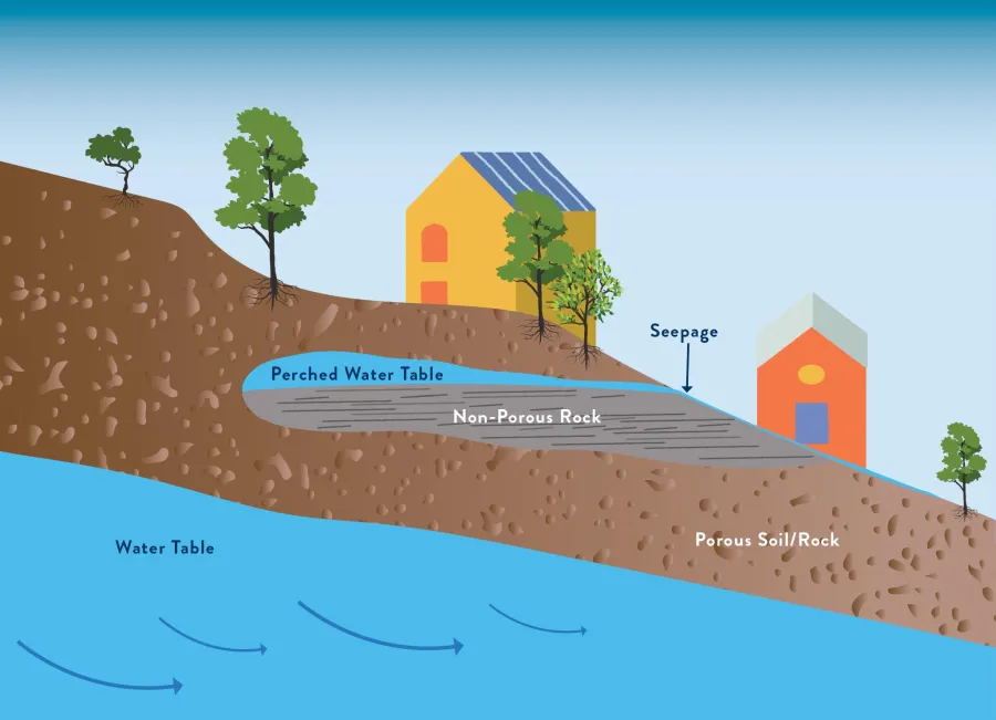 Seepage Diagram