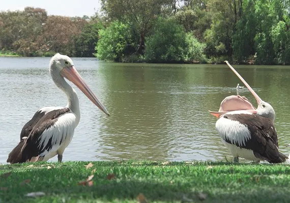 Balyang Sanctuary