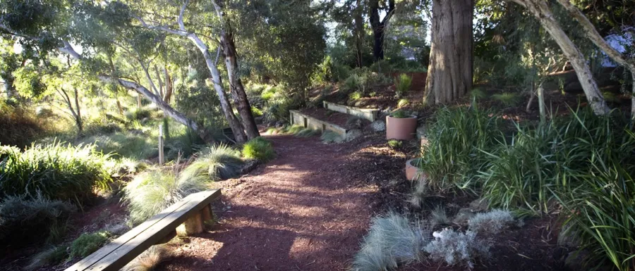 Kevin Hoffman Walk