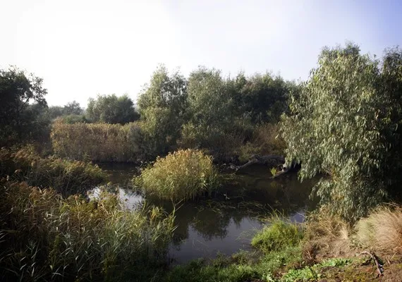 The Moorabool river