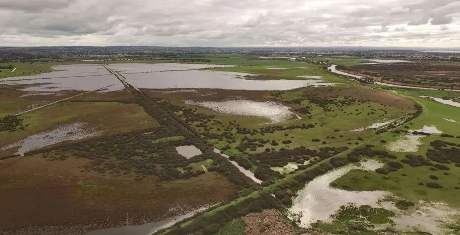 Sparrovale Wetland Reserve