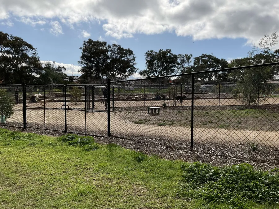 Belmont Park