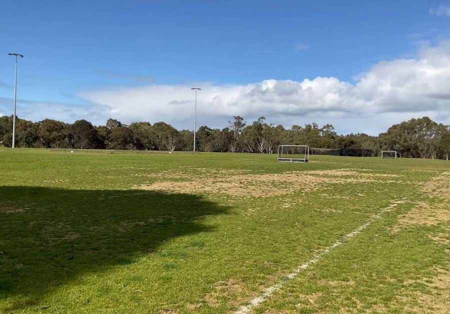 King Lloyd Reserve King Lloyd Reserve