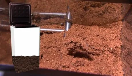 Cloey Composting - Geelong