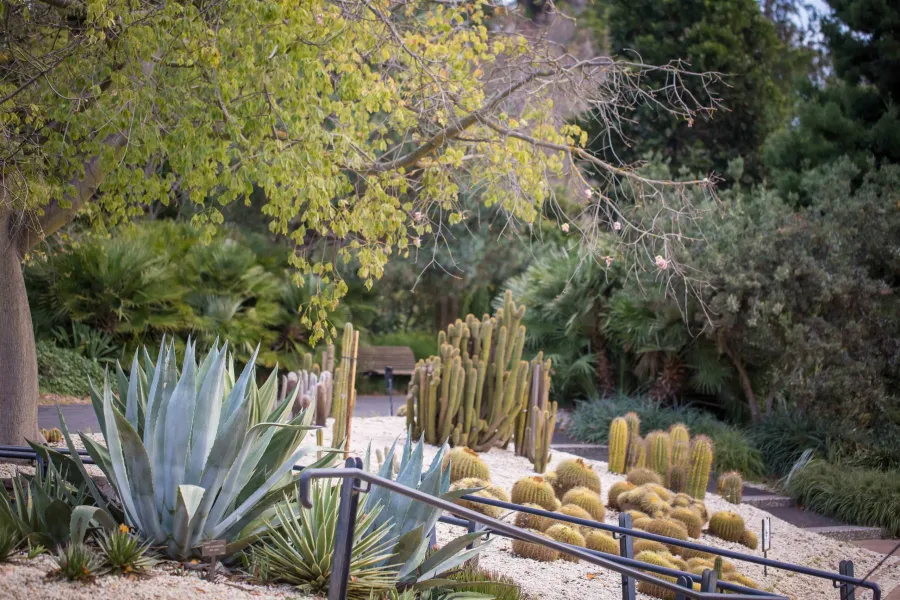 Image for About Geelong Botanic Gardens