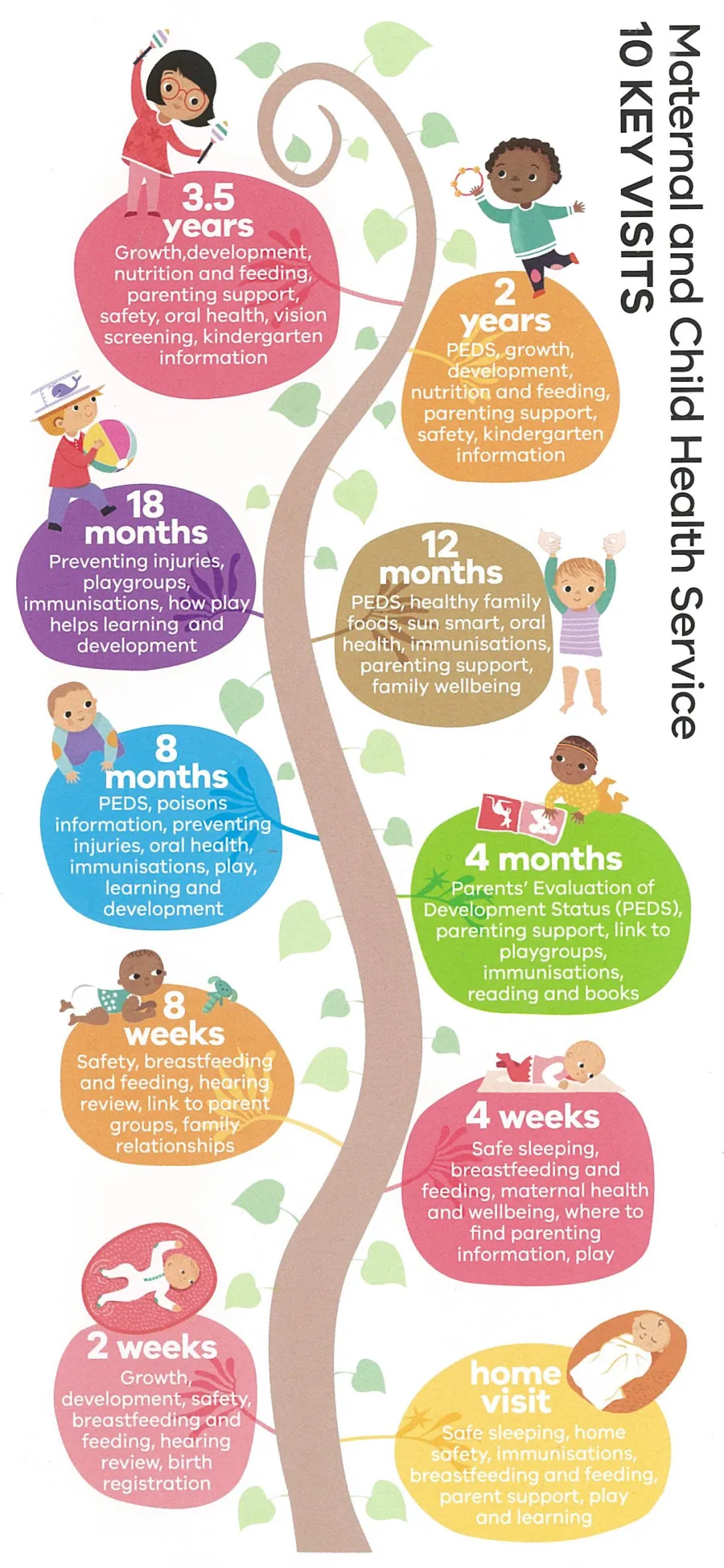 10 Key Stages Diagram - Maternal and Child Health